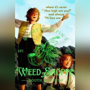 Lord of the rings framed fan art